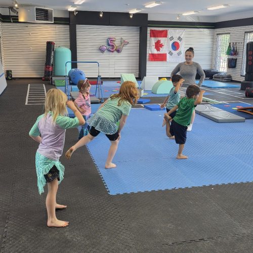 Kids gymnastics and taekwondo class on padded mats at The RAZ in Rockland Ontario with training pads, punching bags, bars and balance equipment.