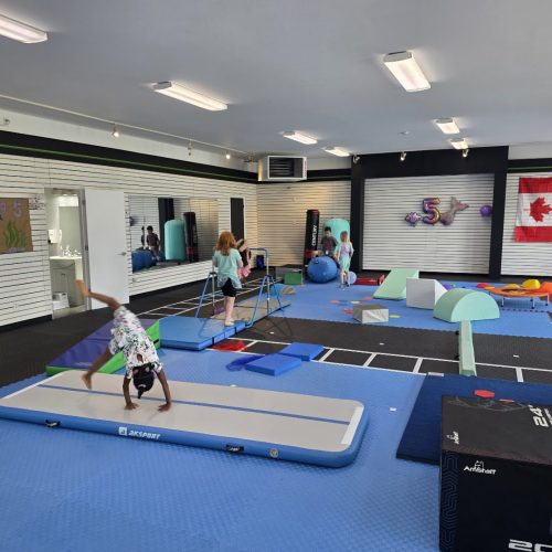 RAZ Gymnastics activity floor in Rockland Ontario with blue mats, air track, training bars, balance beam, trampoline and soft blocks.