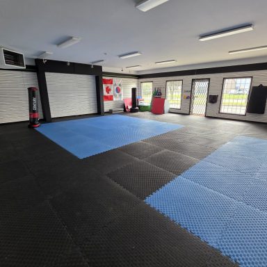Rockland Taekwondo Dojang with Training Mats Rockland Taekwondo dojang with interlocking floor mats and punching bags