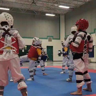 video3-backdrop Taekwondo athletes sparring in helmets and chest guards